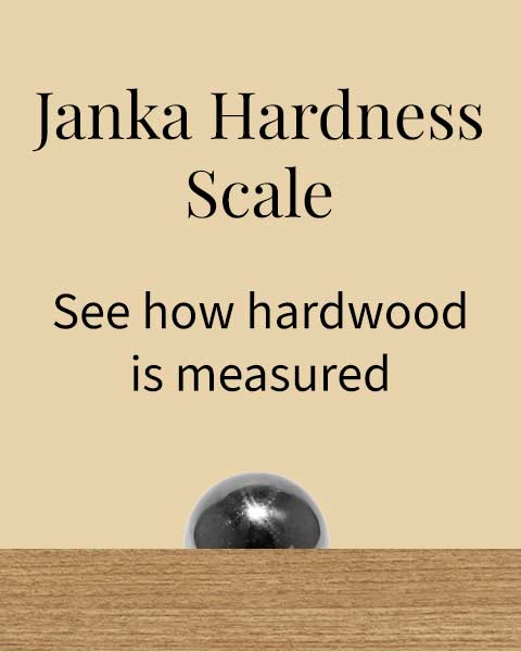 Janka Hardness Test