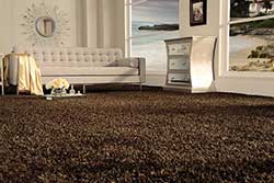 Tuftex Carpet